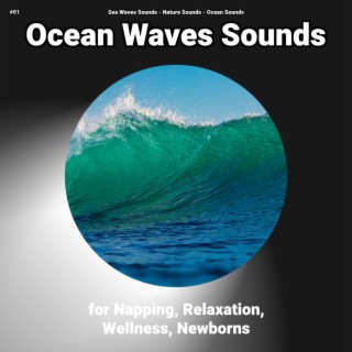 #01 Ocean Waves Sounds for Napping, Relaxation, Wellness, Newborns