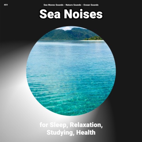Soundscapes for Sleeping ft. Nature Sounds & Sea Waves Sounds