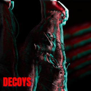 DECOYS (Remix)