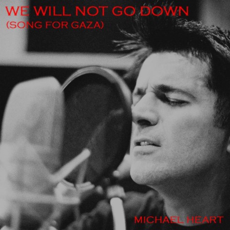 We Will Not Go Down (Song for Gaza) | Boomplay Music