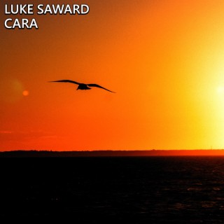 Luke Saward