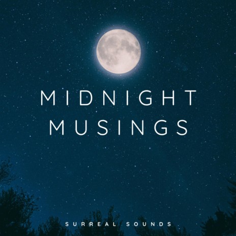 Midnight Musings | Boomplay Music