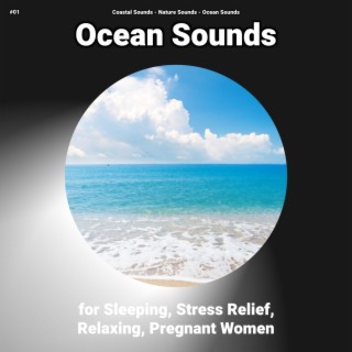 #01 Ocean Sounds for Sleeping, Stress Relief, Relaxing, Pregnant Women