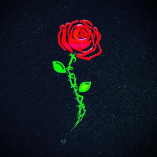 ✾ love is like a rose ✾