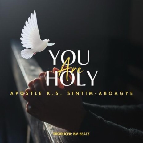 You Are Holy | Boomplay Music