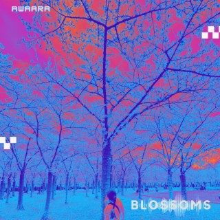 Blossoms