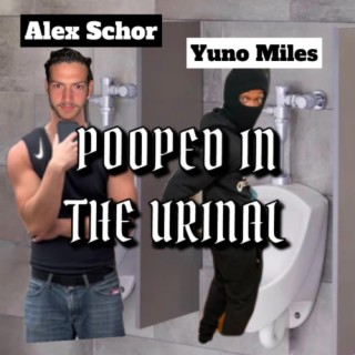 Pooped In The Urinal