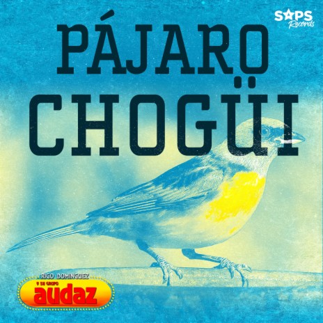 Pájaro Chogüí | Boomplay Music