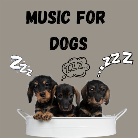 Deep Sleep Dog ft. Music For Dogs Peace, Calm Pets Music Academy & Relaxing Puppy Music