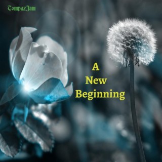 A New Beginning