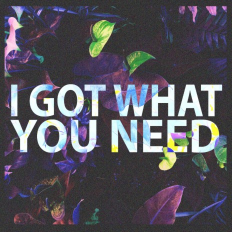 I Got What You Need | Boomplay Music