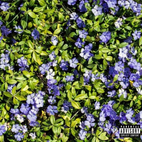 Periwinkle | Boomplay Music