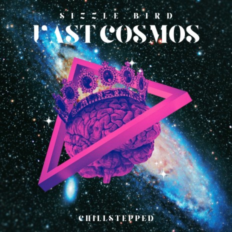 Vast Cosmos ft. Chillstepped & Eudlo | Boomplay Music