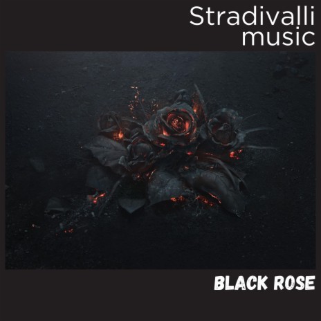 Black Rose | Boomplay Music