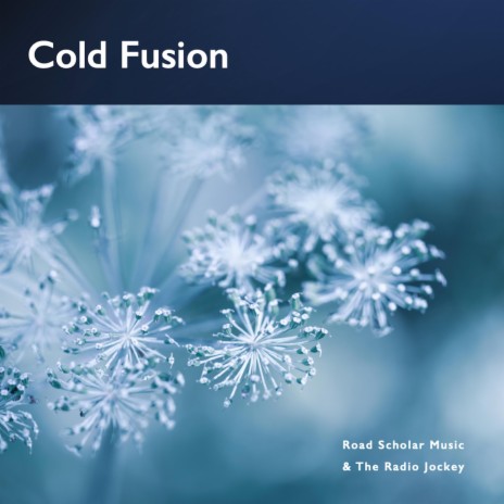 Cold Fusion ft. The Radio Jockey
