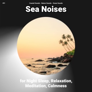 #01 Sea Noises for Night Sleep, Relaxation, Meditation, Calmness