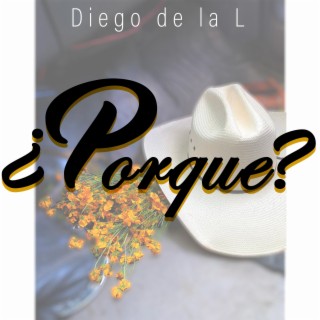 ¿Porqué?