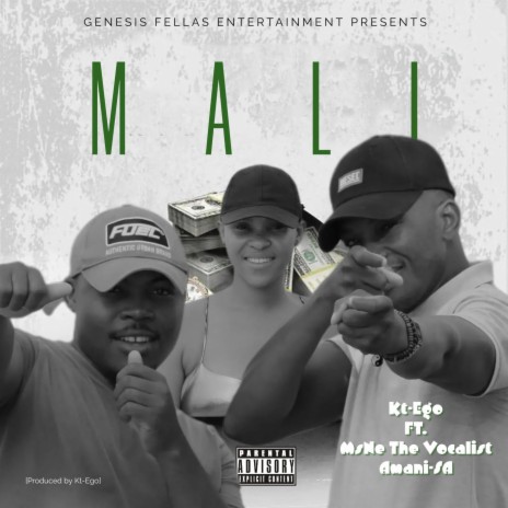 Mali ft. MsNe The Vocalist & Amani-SA