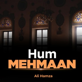 Hum Mehmaan