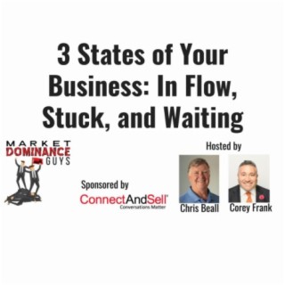 EP34: 3 States of Your Business: In Flow, Stuck, and Waiting.