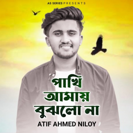 Pakhi Amar Bujlo Na | Boomplay Music