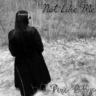 Not Like Me lyrics | Boomplay Music