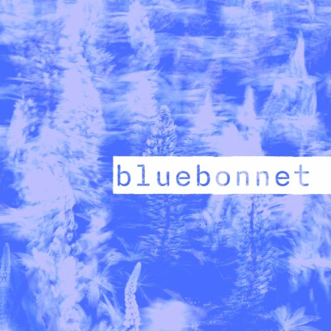 Bluebonnet | Boomplay Music