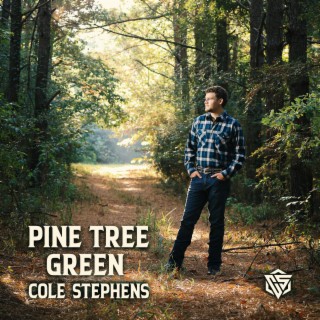 Pine Tree Green lyrics | Boomplay Music