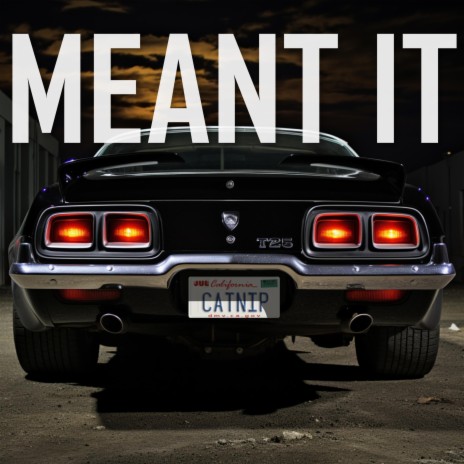 Meant It | Boomplay Music