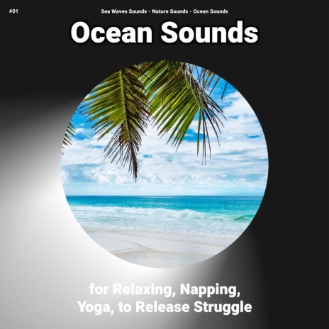 Placid Asmr ft. Ocean Sounds & Nature Sounds | Boomplay Music
