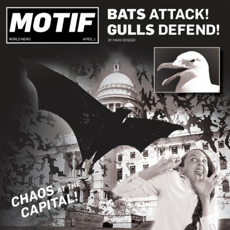 Bats Attack, Gulls Defend! | Boomplay Music