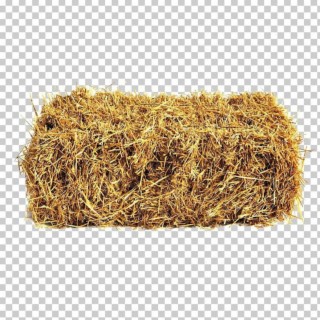 HAY