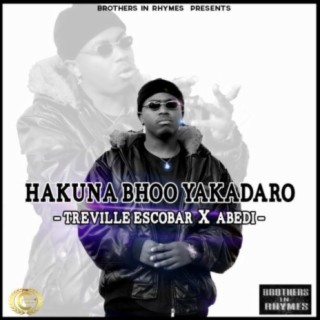 Hakuna Bhoo Yakadaro (feat. Abedi)