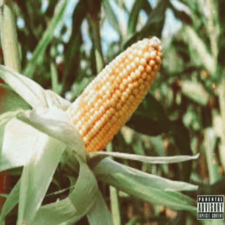 Corn on da cob