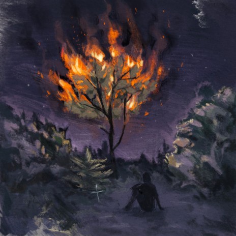 Сожгу дерево
