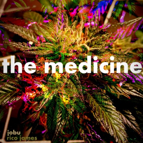 The Medicine | Boomplay Music