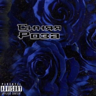 Blue Rose lyrics | Boomplay Music