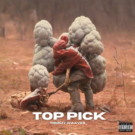 Top Pick | Boomplay Music