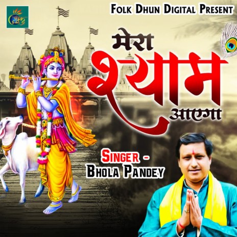 Mera Shyam Aayega | Boomplay Music