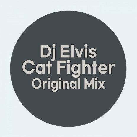 Cat Fighter (Original Mix)