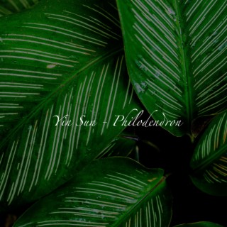 Philodendron