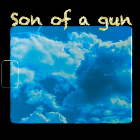 son of a gun