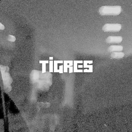 Tigres | Boomplay Music