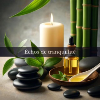 Echoes of Tranquility: Ultimate Relax Experience, Soothing Ambient Massage Music for Deep Relaxation & Meditation