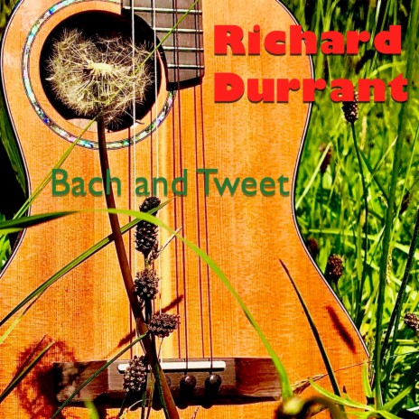 Bach and Tweet | Boomplay Music