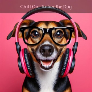 Chill Out Relax for Dog: Chill Out Music for Sleep, Relax, Spa for Pets