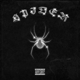 Spider lyrics | Boomplay Music