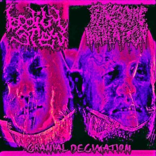 CRANIAL DECIMATION (BXS SIDE)