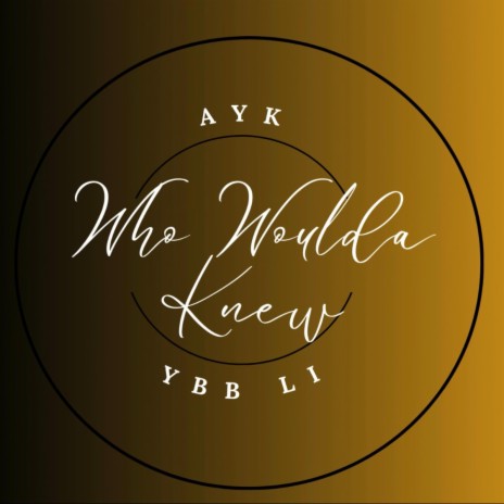 Who Woulda Knew ft. YBB LI | Boomplay Music