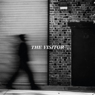 The Visitor